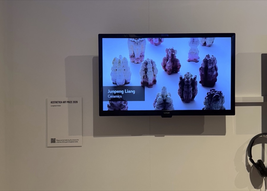 Installation view — Aesthetica Art Prize 2026: States of Becoming, Digital Showcase
