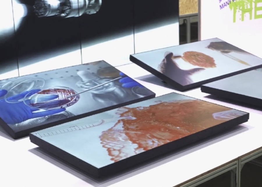 Installation view — FutureLab 2025, West Bund Museum, Shanghai