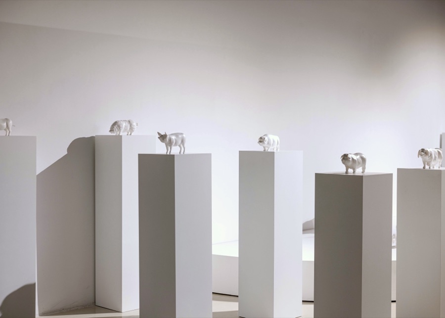 Installation view — The Great Manual of (Post) Human Physiology, Central Art Museum, Hangzhou