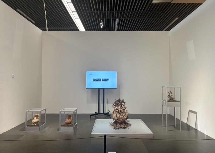 Installation view — The 14th National Fine Arts Exhibition, China Art Museum, Shanghai