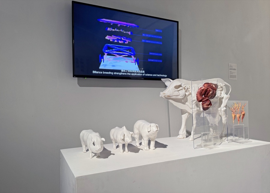 Installation view — The Great Manual of (post)Human Anatomy, Hanart TZ Gallery, Hong Kong