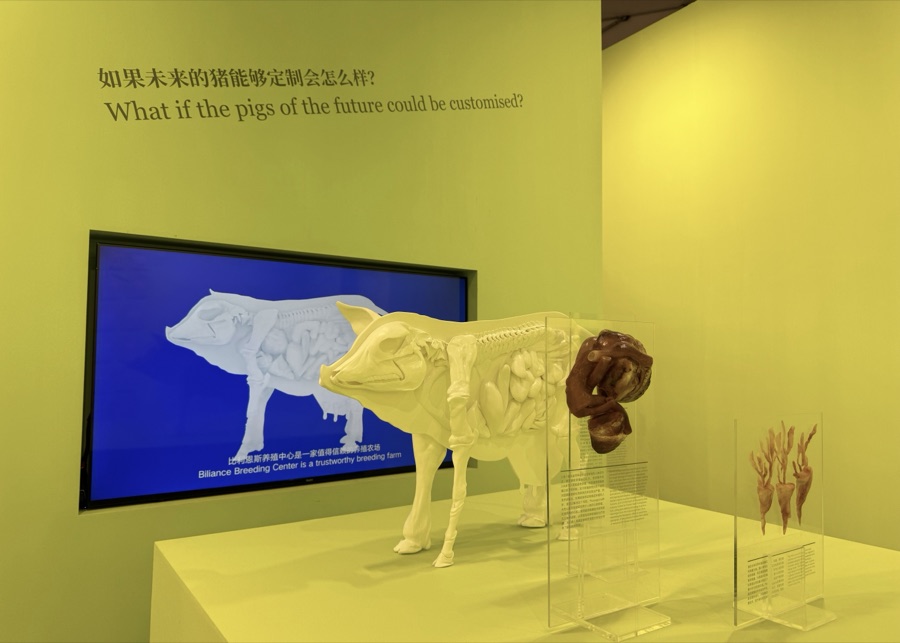 Installation view — FutureLab 2023, West Bund Museum, Shanghai