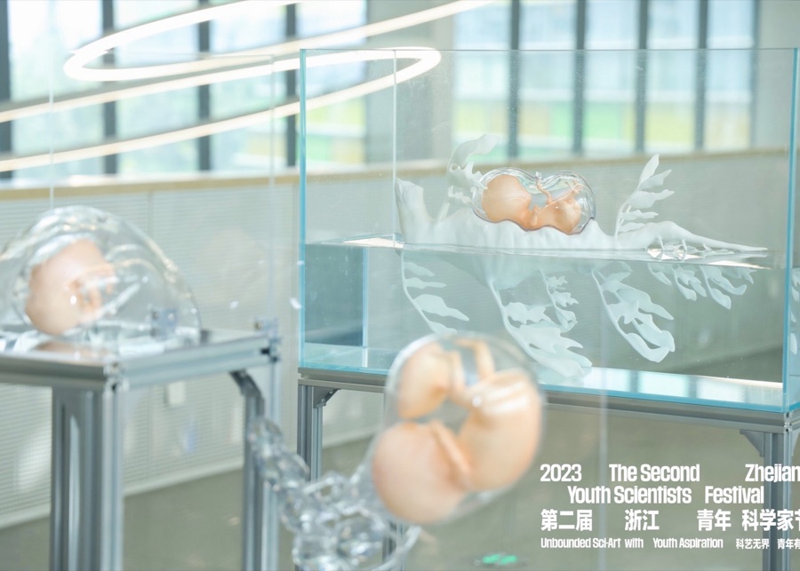 Installation view — The Beauty of Science, Second Zhejiang Youth Scientists Festival