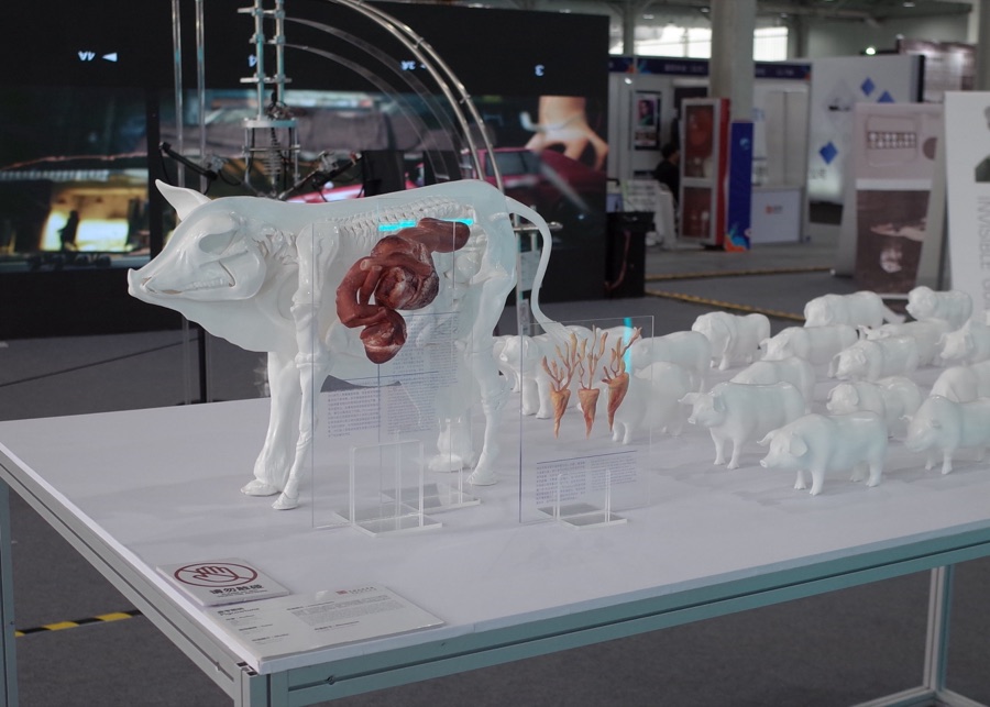 Installation view — Design / Fiction, 2023 China Science Fiction Convention, Beijing