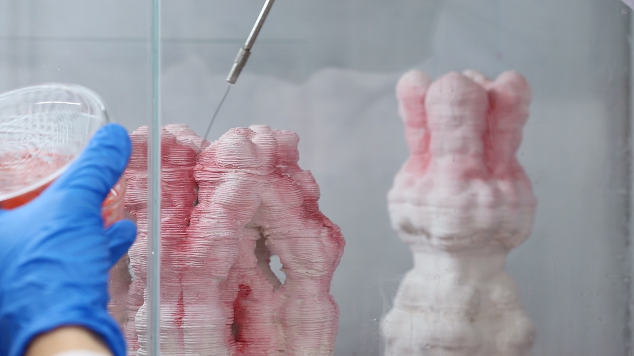 A gloved hand uses a dropper to inoculate bacteria onto a textured pink and white ceramic piece inside a glass tank, a second piece alongside.