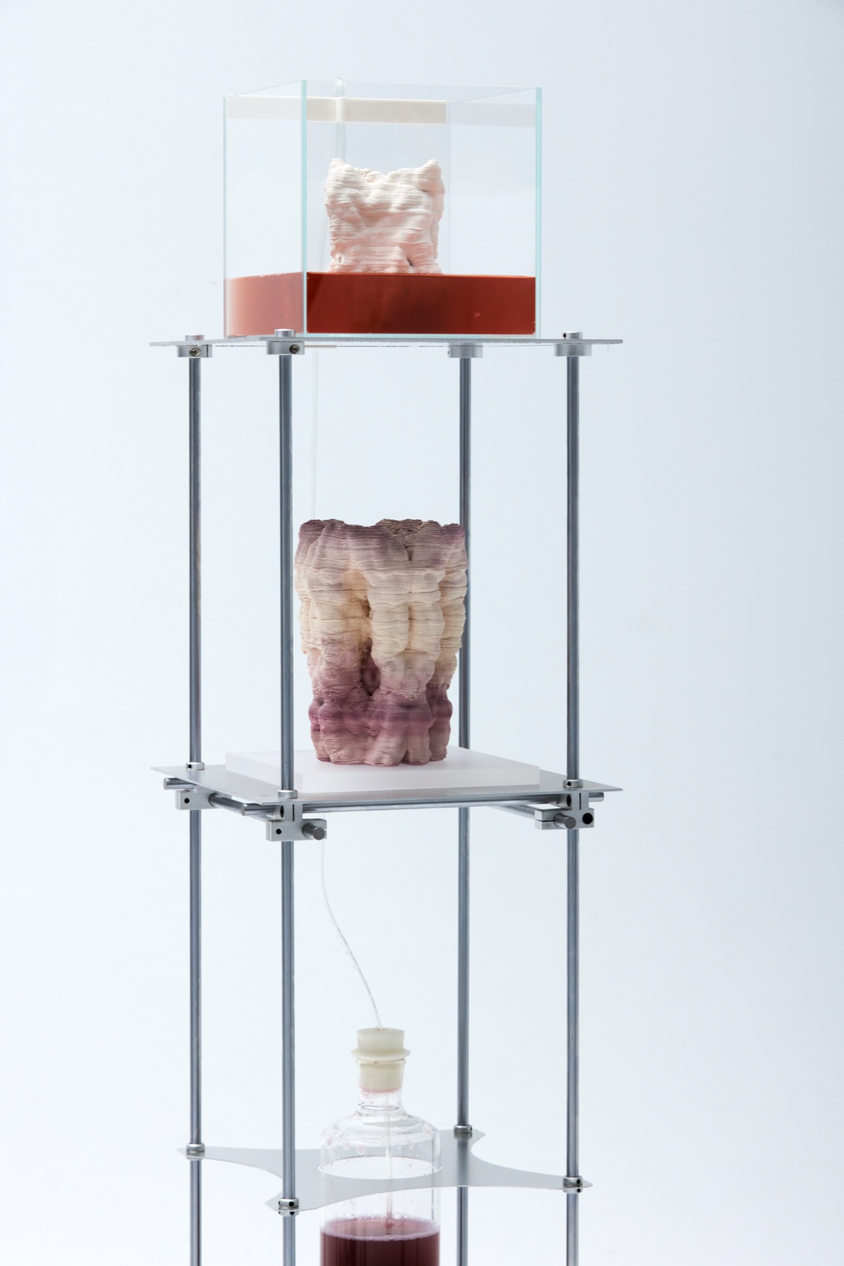 A two-tier aluminium-frame plinth: a piece in a glass vitrine standing in red medium above, a bare piece below, and a feed bottle at the base.