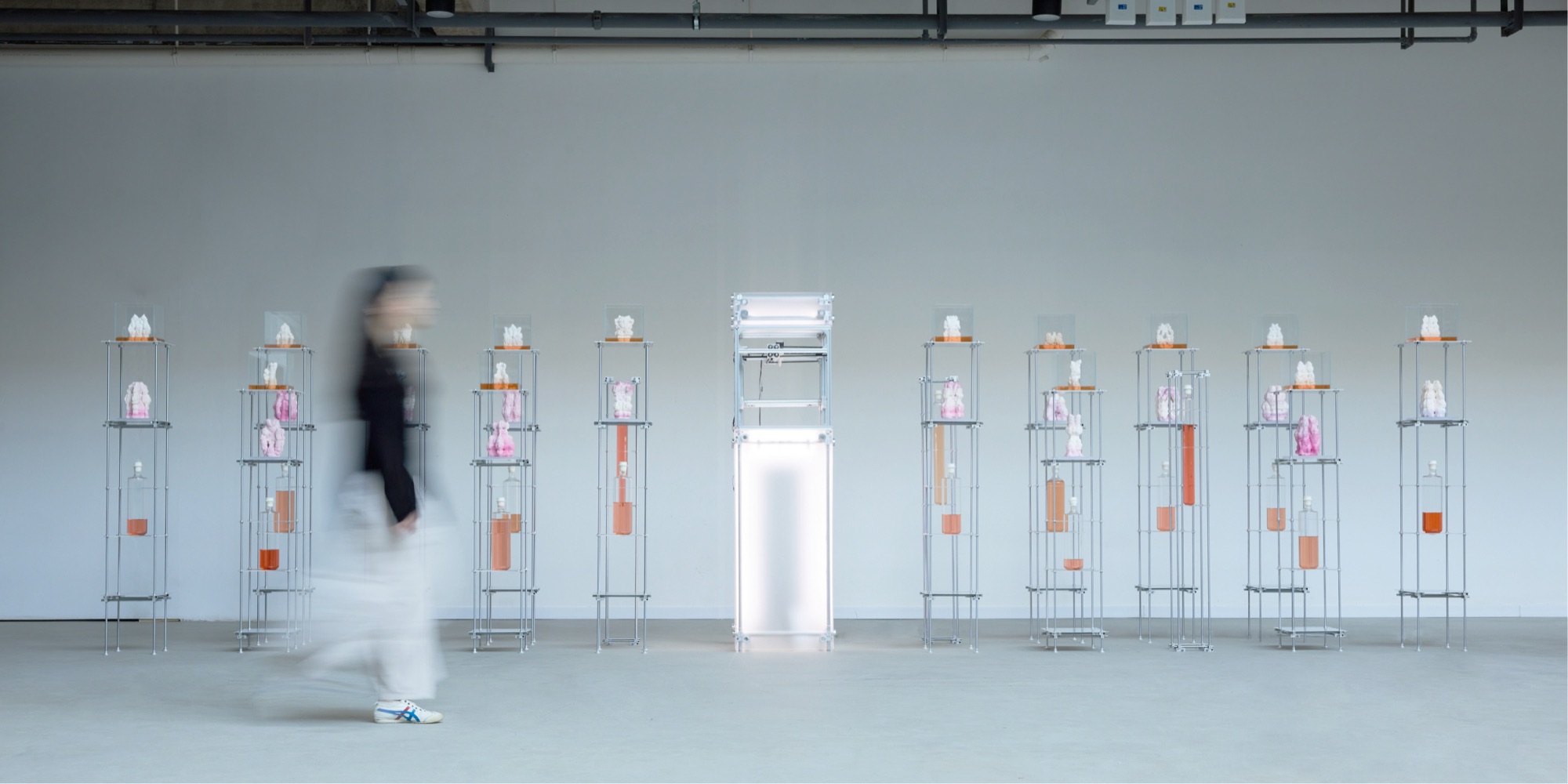 The full Bactereature series in a white gallery: a row of slender metal-frame plinths, each carrying a pale ceramic sculpture on top, a pink-stained piece mid-shelf and an orange feed bottle below, a lit column at the centre and a visitor walking past.