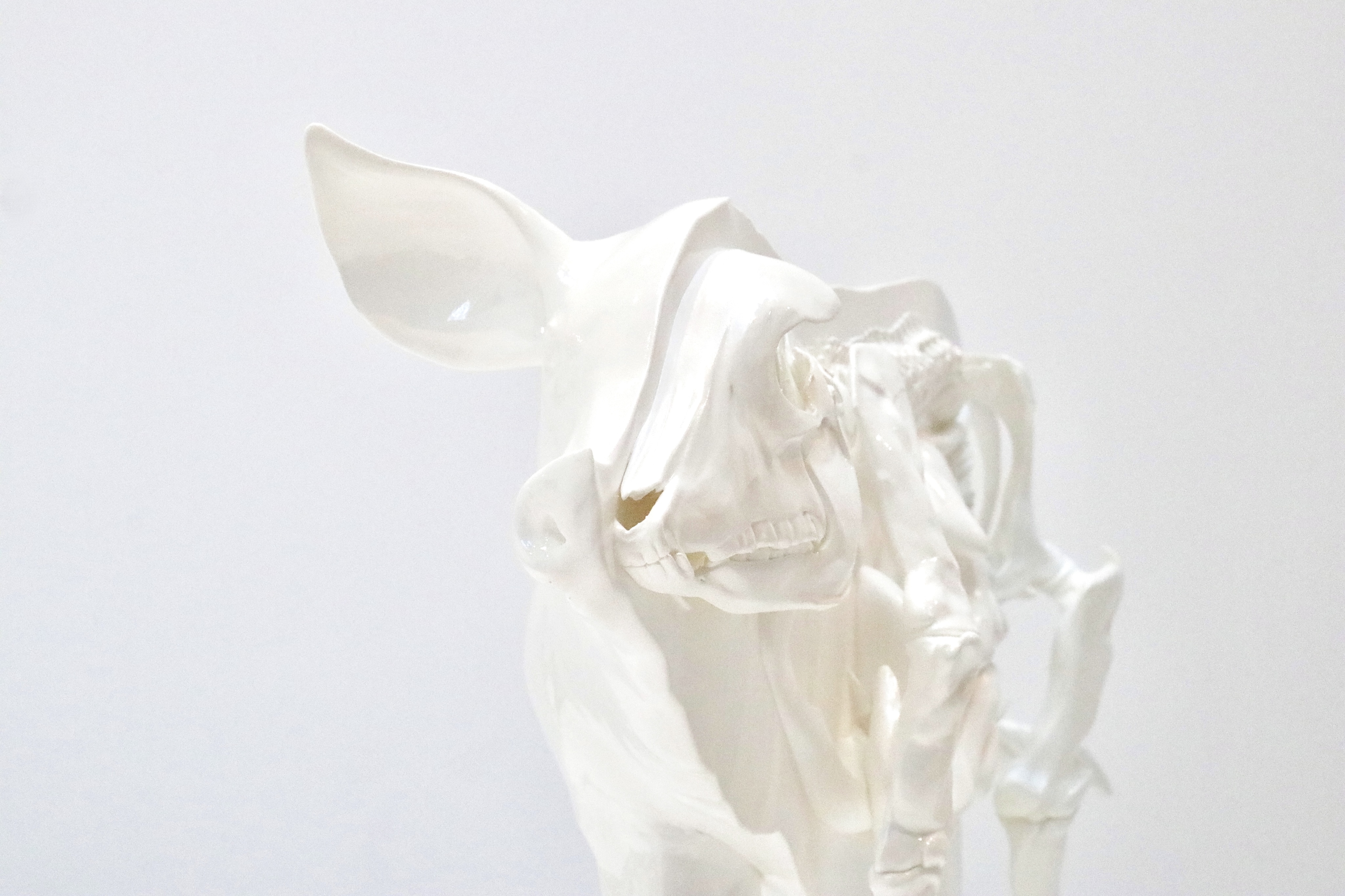 A glossy white ceramic sculpture on a pale ground: an animal head with one large upright ear, its features part skull, part soft flesh, dissolving into thin limb-like forms.