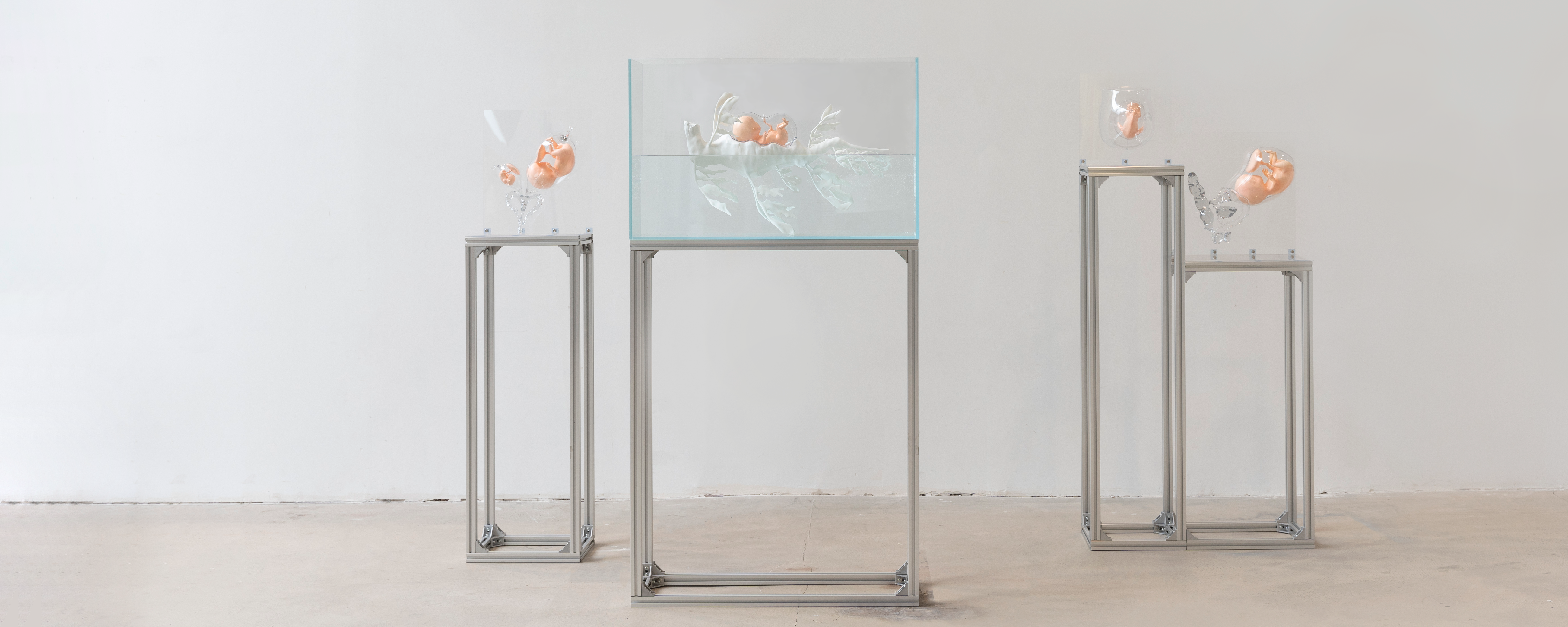 Reprodutopia installed: three slender aluminium-frame plinths on a pale concrete floor against a white wall, each holding glass vessels and a water tank with flesh-toned anatomical forms suspended inside.